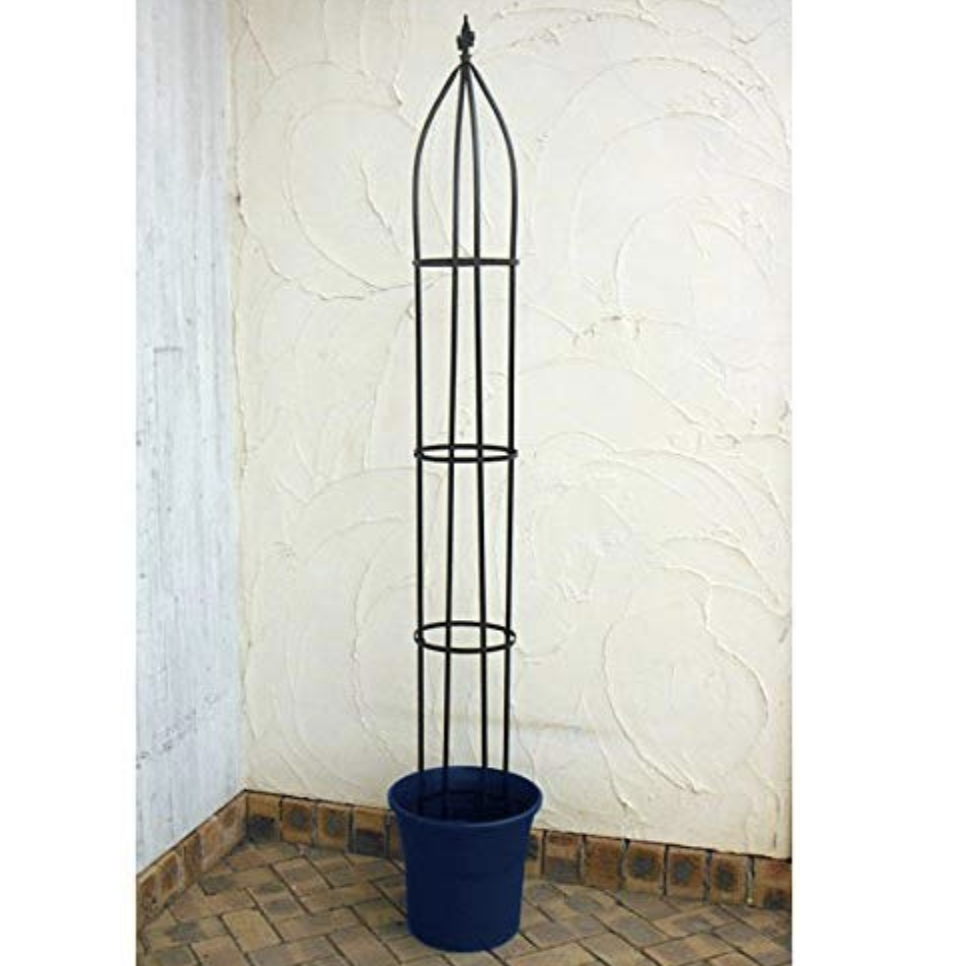 G-Story オベリスクスリムショート