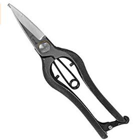 おの義刃物 芽切鋏　７インチ