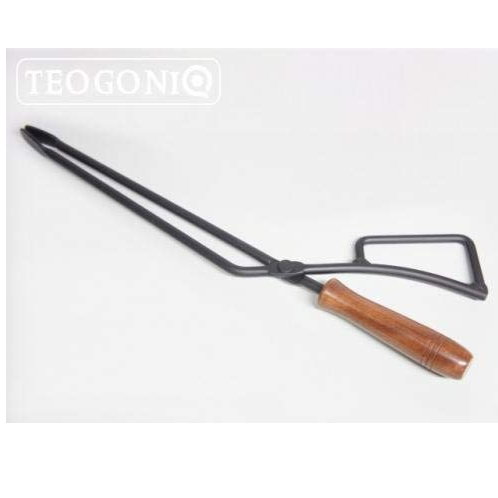 テオゴニア‐ファイヤープレーストング