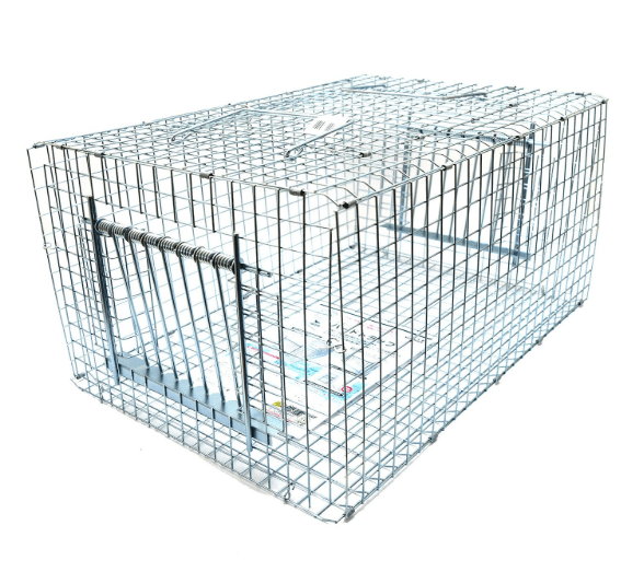 栄工業 鳥捕獲器 バードトラップ E-01