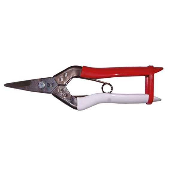 岡恒 摘果鋏 NO.307