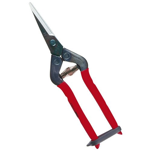 近正 芽切摘果鋏 T-55CH