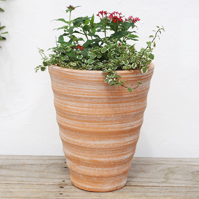 ソルティロングポット ラフ 1800 SP S