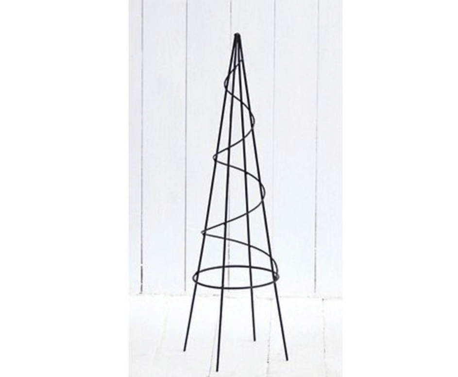 バードケージ型トピアリー オーバル