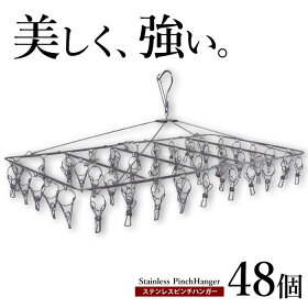 ステンレスピンチハンガー ピンチ48個 角ハンガー エカンズ PH-48