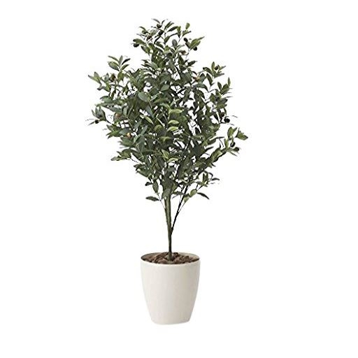 アートクリエーション 光の楽園 オリーブ 378A100