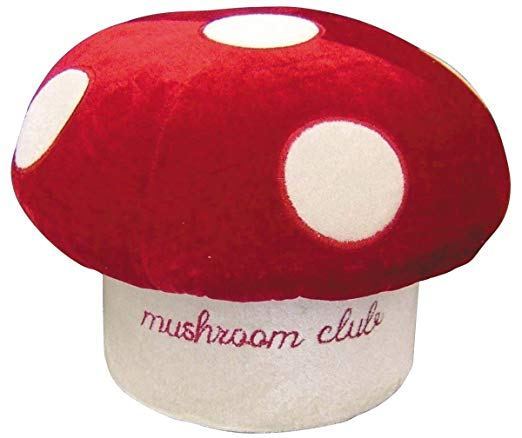 正座椅子 きの小いす