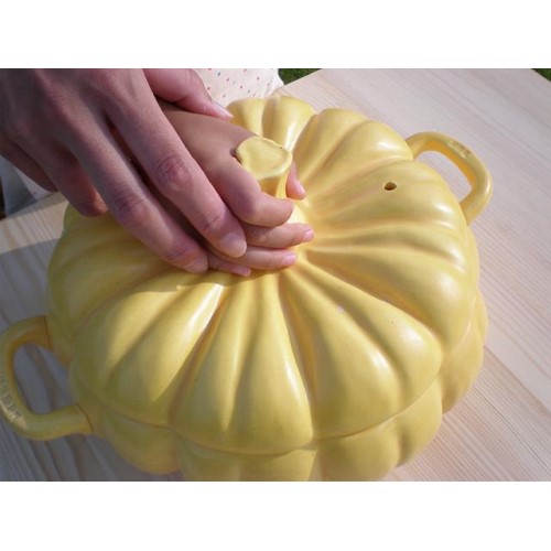 かぼちゃ土鍋L 常滑焼 日本製