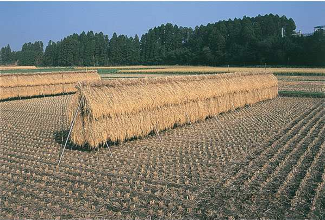 南栄工業 稲干台 三段掛け