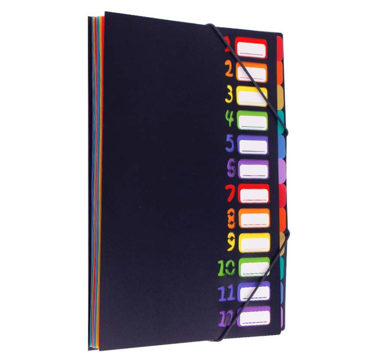 ドキュメントファイル A4 12ポケット