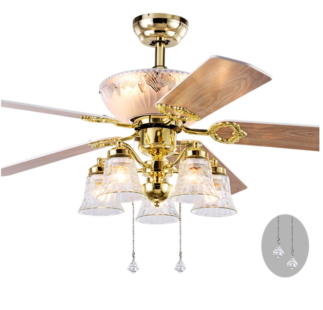 ヨーロッパ ゴールデンファンライト