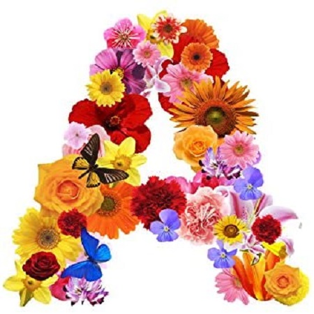 スマコレ 一文字からのステッカー mojis-flowe0Sa-ds