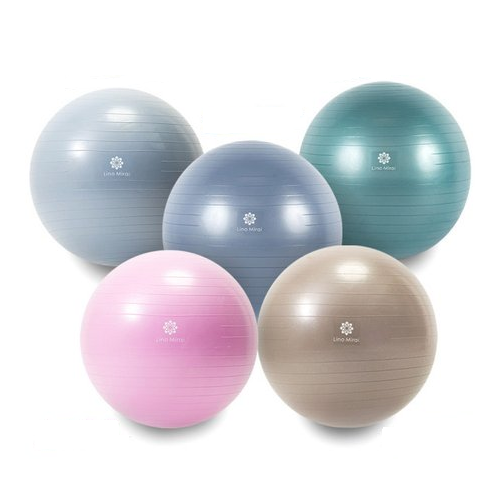 リノミライ Lino Mirai バランスボール LMS91NH029