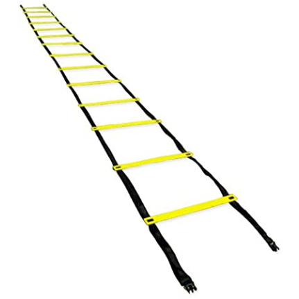 イースポーツ eSPORTS トレーニングラダー ESTR-001