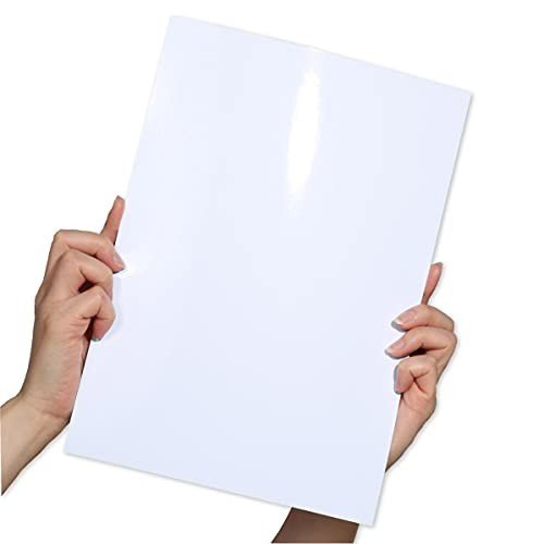 プロ紙 progami 写真用紙 Photo-a4-usu-100