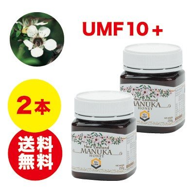 武州養蜂場 マヌカハニー UMF10+ 250g 2個