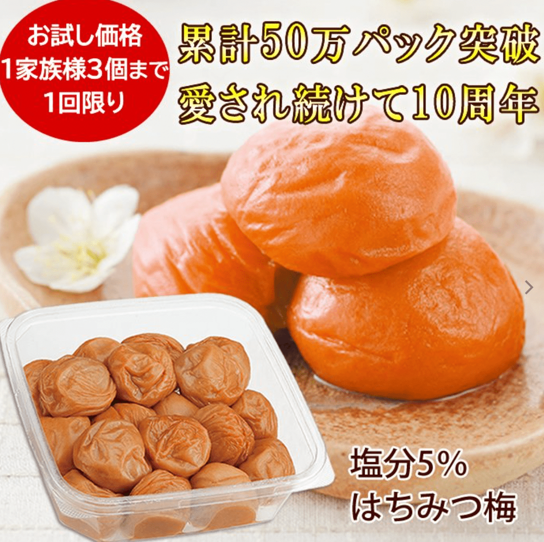 紀州梅干しの梅翁園 梅干し はちみつ漬け 500g