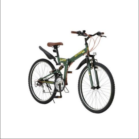 Raychell マウンテンバイク 折りたたみ R-314N