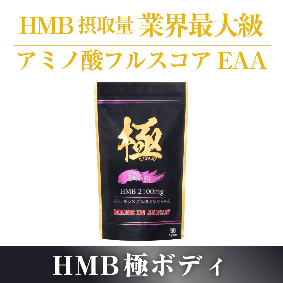 株式会社ライド HMB極ボディ