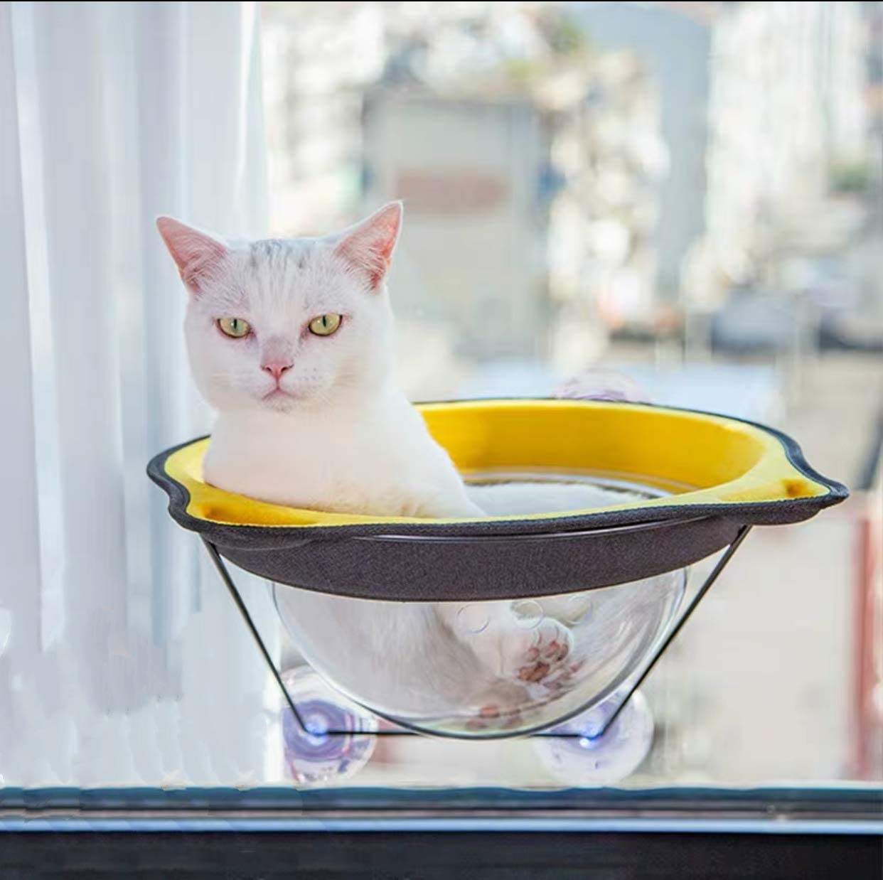 3C 猫ハンモック 4580629592170