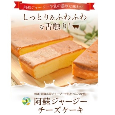 くまもと風土 阿蘇ジャージーチーズケーキ asojcake-2
