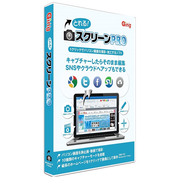 GING とれる! スクリーンPRO