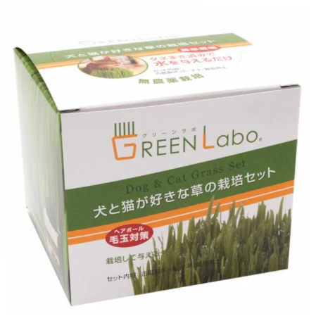 エイムクリエイツ 犬と猫が好きな草 栽培セット