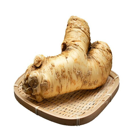 Biou Marcket 十勝産ホースラディッシュ 200g