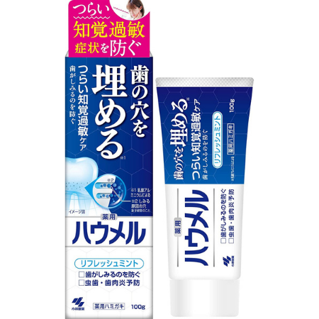 小林製薬 ハウメル 歯の穴を埋める 薬用ハミガキ