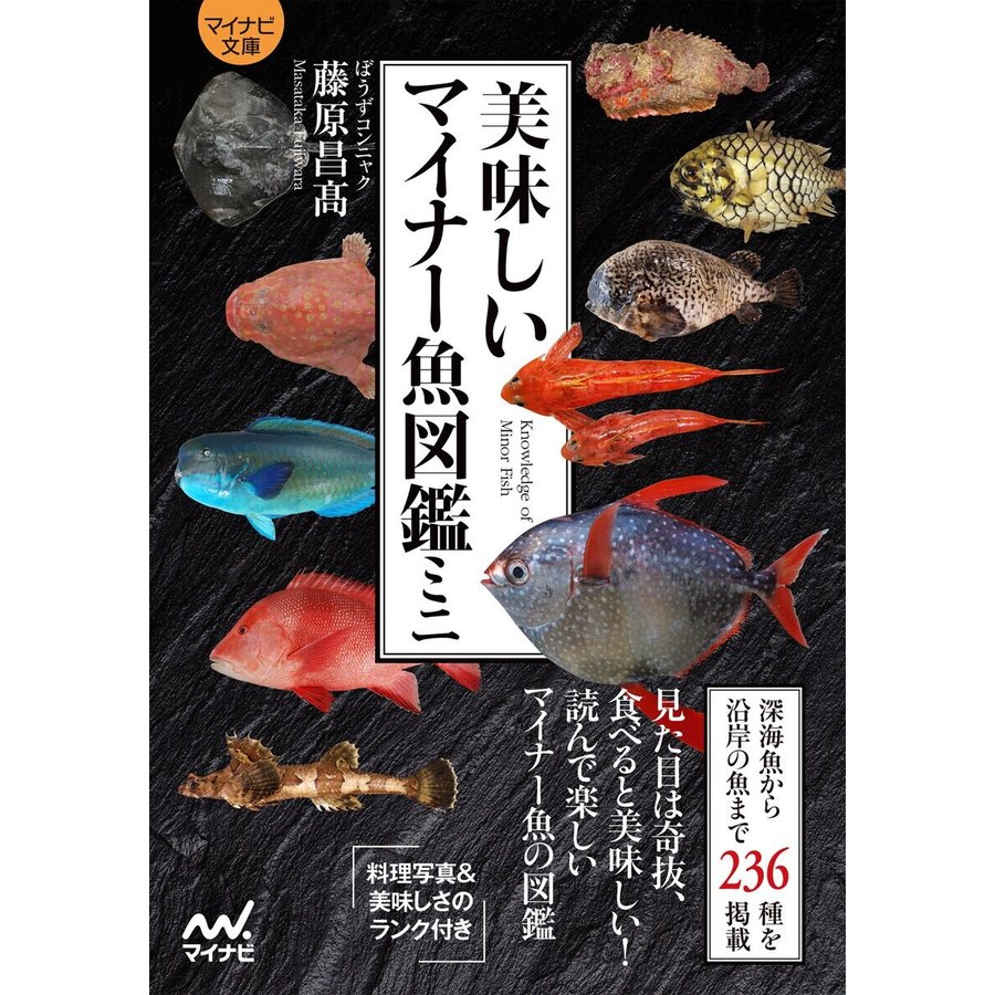 マイナビ出版 美味しいマイナー魚図鑑ミニ