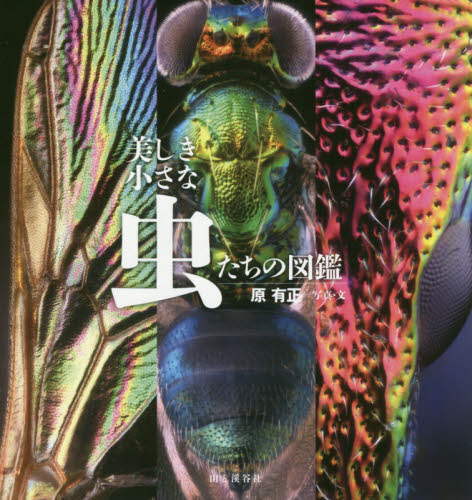 山と渓谷社 美しき小さな虫たちの図鑑