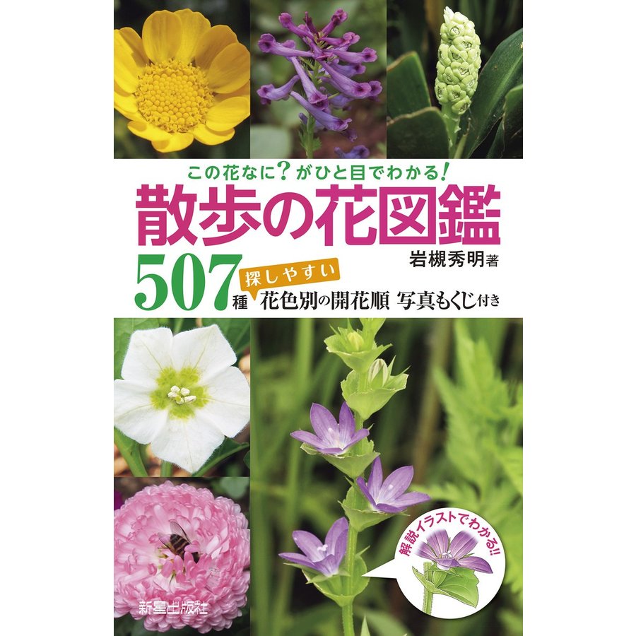 新星出版社 「この花なに？」がひと目でわかる！散歩の花図鑑