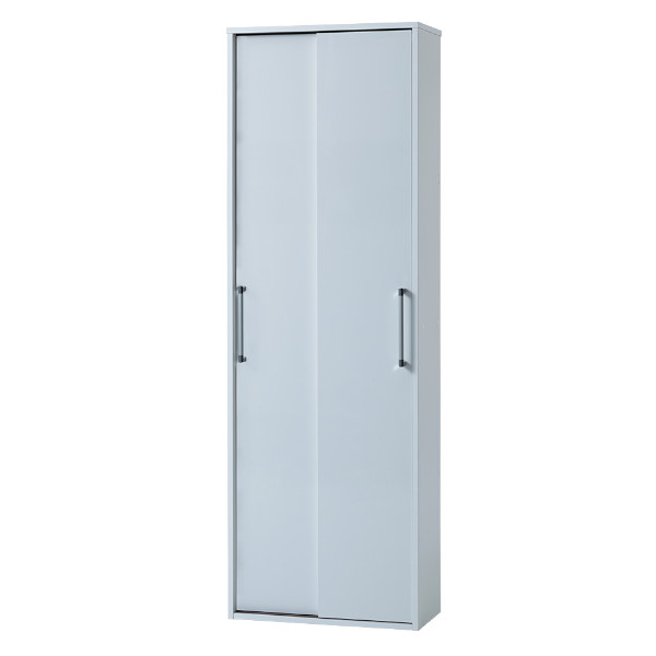 ディノス すっきり隠せる薄型引き戸収納庫 642501