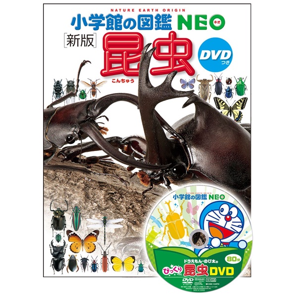 小学館 小学館の図鑑 NEO 新版 昆虫 DVD付
