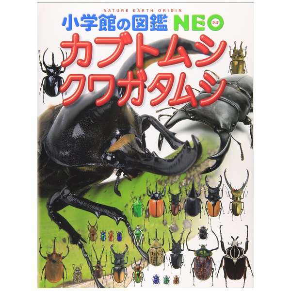小学館 小学館の図鑑NEO カブトムシ・クワガタムシ