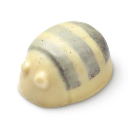 ラッシュ スクラビー