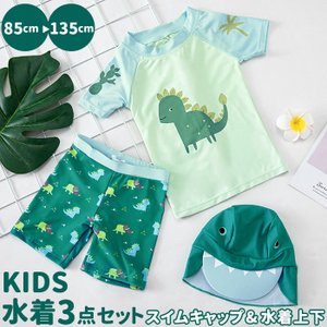 BACKYARD FAMILY ママタウン 恐竜 3点セット scdinosaurs