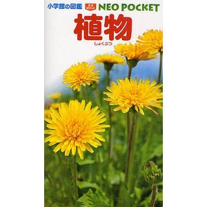 小学館 小学館の図鑑NEO POCKET 植物