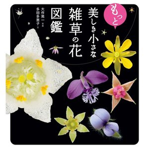 山と渓谷社 美しき小さな雑草の花図鑑
