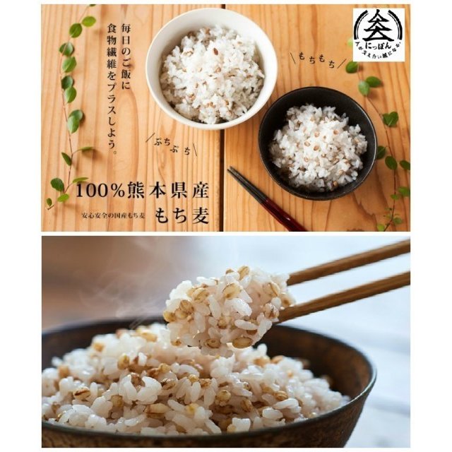 原農場 もち麦 457677312