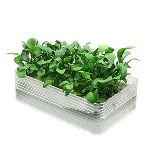 リビングファーム ミニ水耕菜園キットBR LFS-328