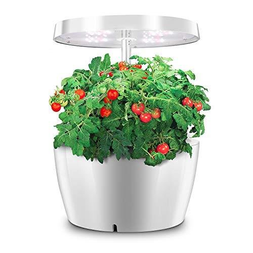 ワンワンニャー（oneone nya） 水耕栽培キット IGS-01