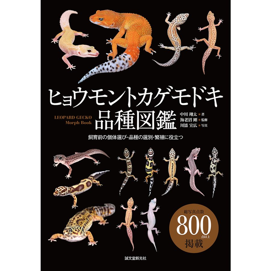 誠文堂新光社 ヒョウモントカゲモドキ品種図鑑