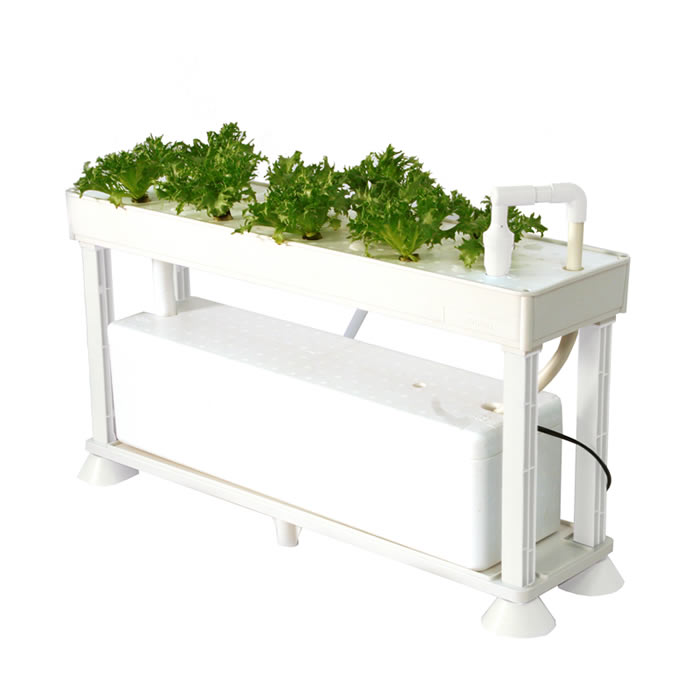 Cell Diagnostics 水耕栽培キット PLAABO