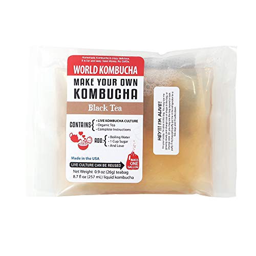 WORLD KOMBUCHA（ワールドコンブチャ） コンブチャ スターターキット