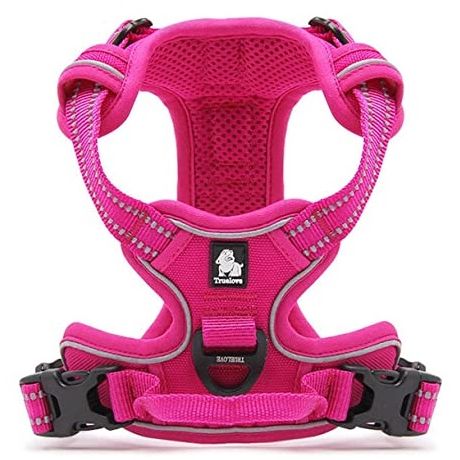 その他首輪・胴輪・リード