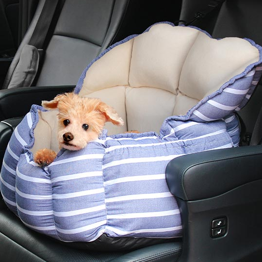 犬用ドライブボックス