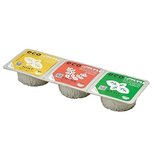 聖新陶芸 栽培セット エコポケット ハーブコレクション(ミント/タイム/バジル) GD-95201 黄色・赤・緑