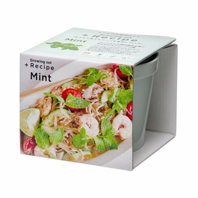 聖新陶芸 レシピ付き栽培セット プラスレシピ GD-951