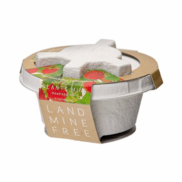 聖新陶芸 プランツマイン 「栽培キット」 GD-948